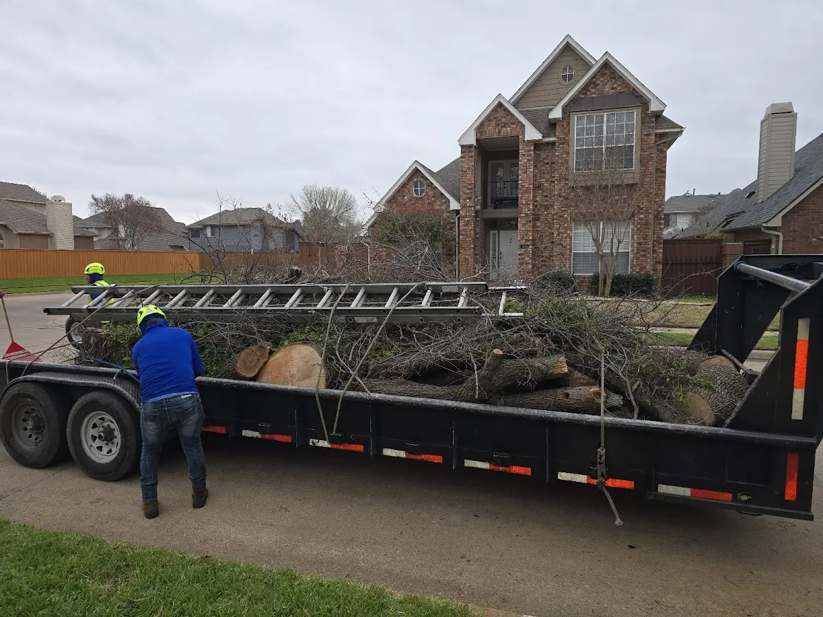 Expert Crown Reduction with proper safety equipment in Oakmont